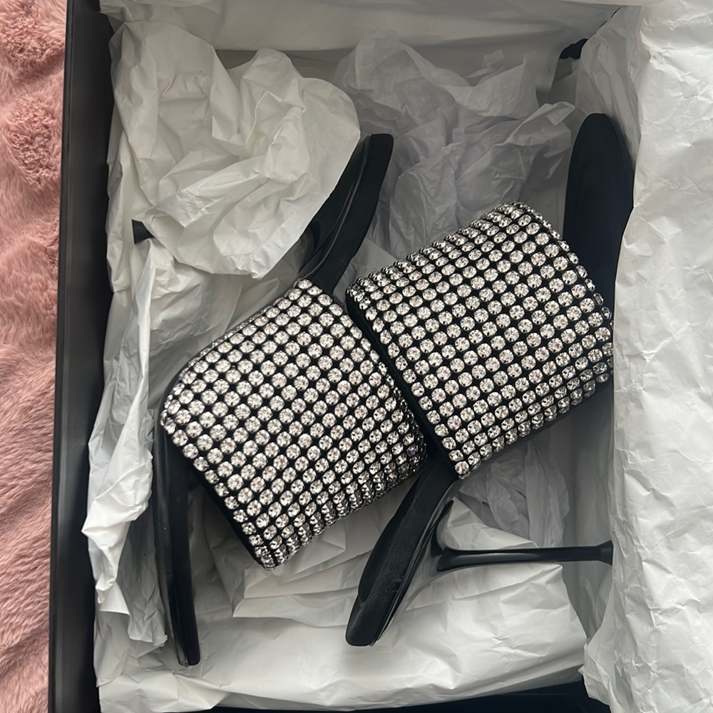 Gently worn Alexander Wang mules